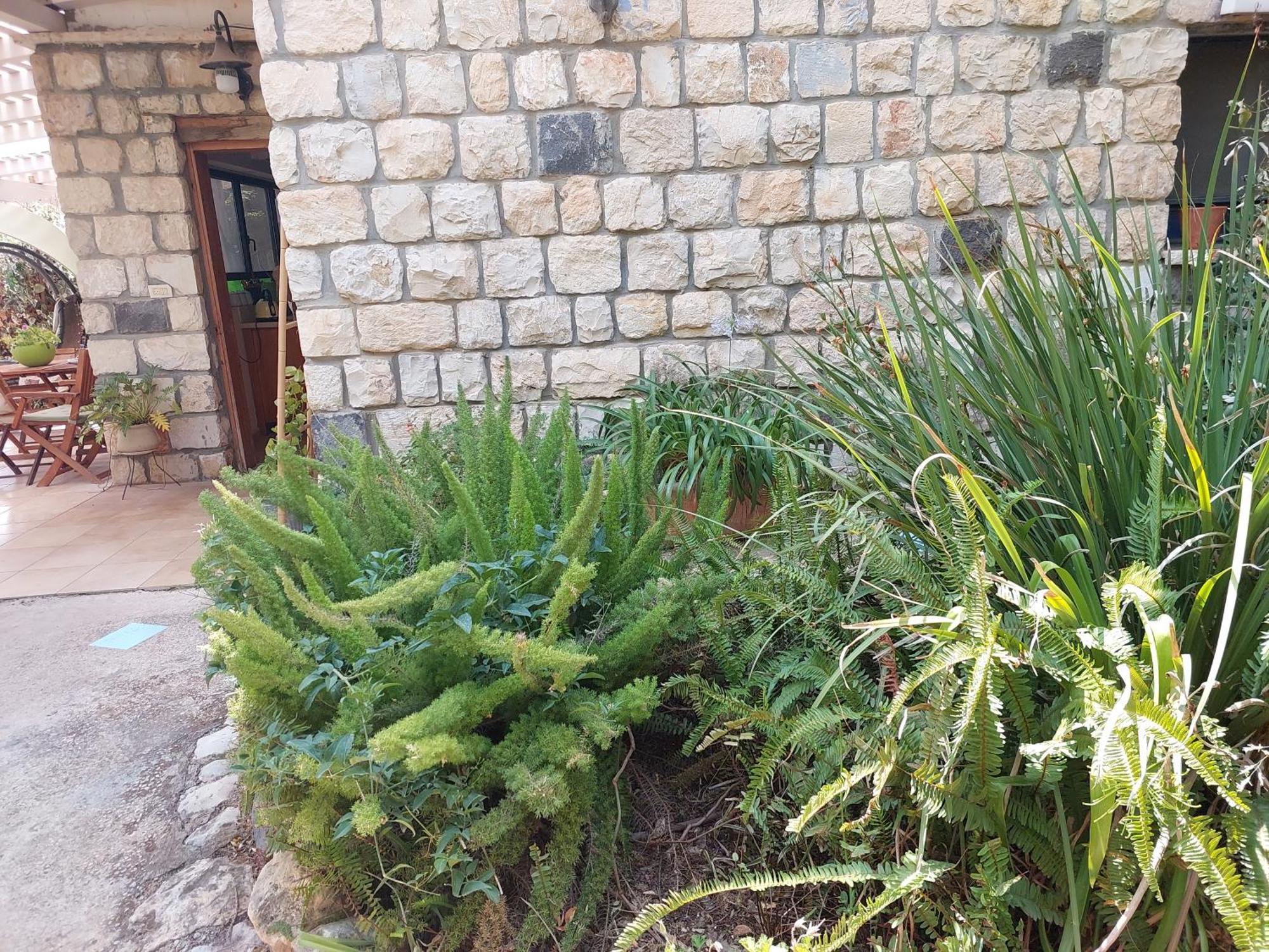 Neve Nof Apartman Ros Pinna Szoba fotó